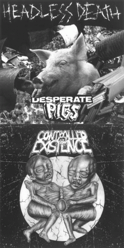 Headless Death : Headless Death - Controlled Existence